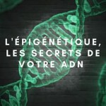 epigenetique_secret_ad